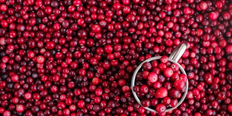 TikTok’s Viral Cranberry Recips for Winter