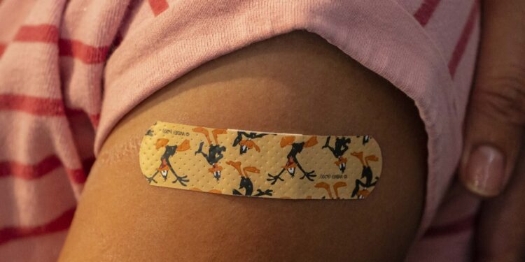 The CDC Simply Sidelined These Childhood Vaccines. Right here’s What They Stop : Pictures