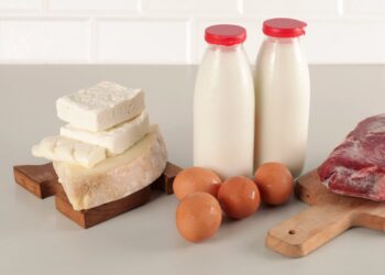 RFK Jr.’s new dietary tips finish ‘the struggle on saturated fat’ : Photographs