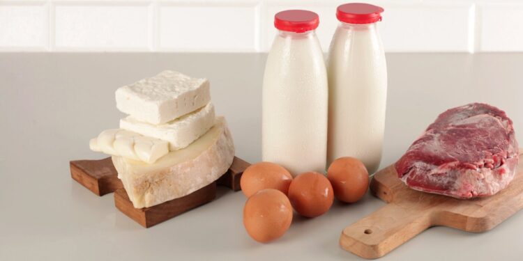 RFK Jr.’s new dietary tips finish ‘the struggle on saturated fat’ : Photographs