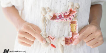 Which Meals Assist a Leaky Intestine?