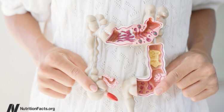 Which Meals Assist a Leaky Intestine?