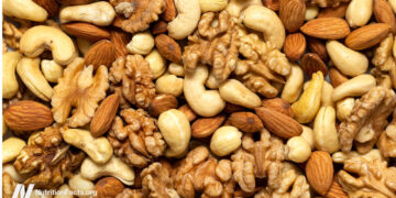 Nuts, Sperm, and Intercourse: The Stunning Connection