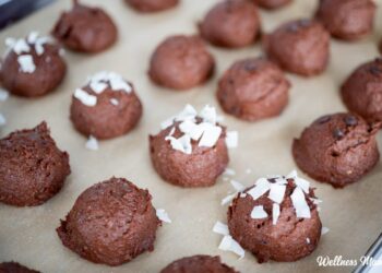 Excessive Protein Brownie Batter Bites
