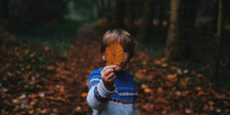 stronger hyperlinks to grownup psychological well being than bodily violence