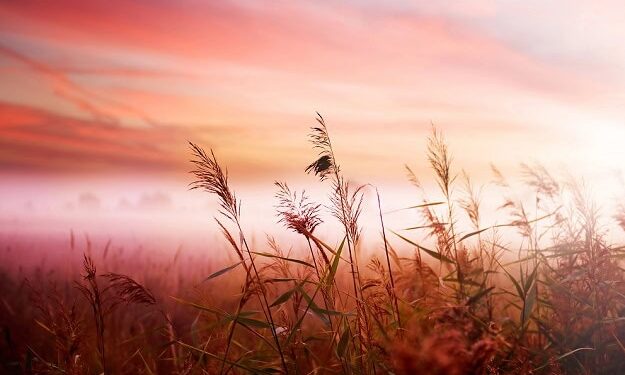 The right way to Brighten Your Morning (and Entire Day): 7 Highly effective Habits