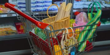 Why the Meals Pyramid Is Being Talked About (Once more)