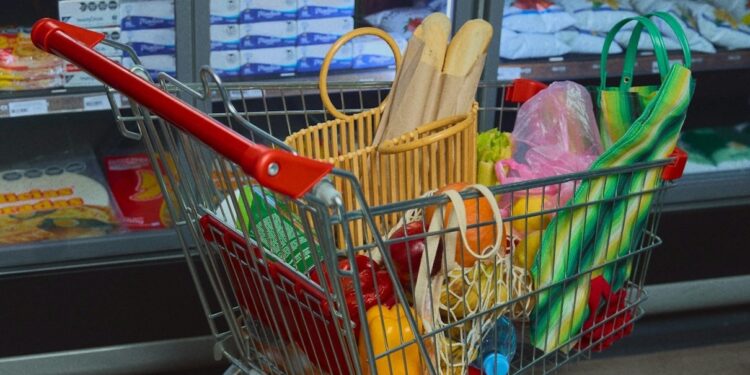 Why the Meals Pyramid Is Being Talked About (Once more)