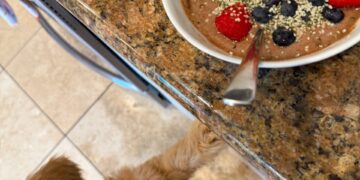 1.30 Friday Faves – The Fitnessista