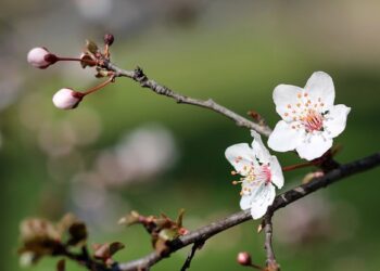 101 Brief March Quotes for a Optimistic, Glad and Motivated Month