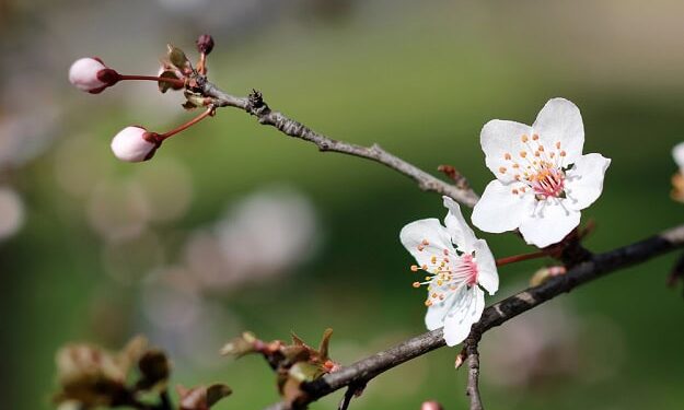 101 Brief March Quotes for a Optimistic, Glad and Motivated Month