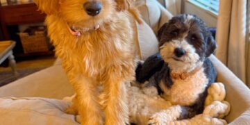 2.6 Friday Faves – The Fitnessista