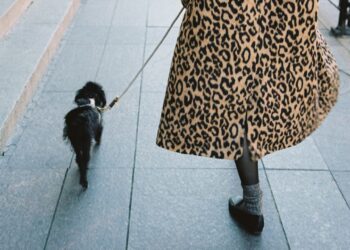 What 10,000 Steps a Day Will get Proper (and Flawed) About Well being and Weight