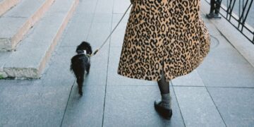 What 10,000 Steps a Day Will get Proper (and Flawed) About Well being and Weight