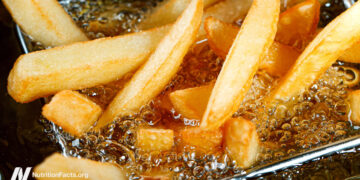 The DNA-Damager in Fried Meals