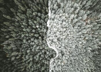 Measuring paranoid beliefs: can adaptive testing help routine scientific care?