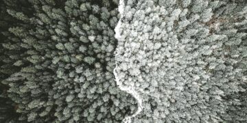 Measuring paranoid beliefs: can adaptive testing help routine scientific care?