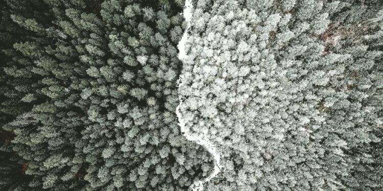 Measuring paranoid beliefs: can adaptive testing help routine scientific care?