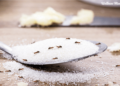 Methods to Get Rid of Ants Naturally