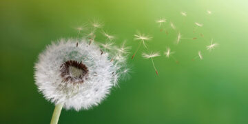 110 Quotes About Change on Development, Powerful Occasions and a New Starting