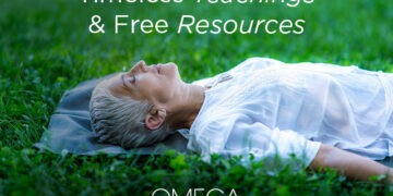 Want a Break from The whole lot?