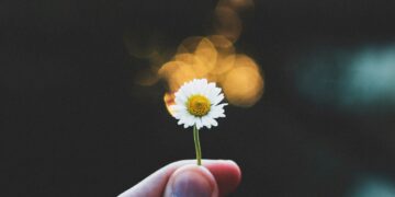 Anorexia restoration appears completely different for professionals and folks with lived expertise