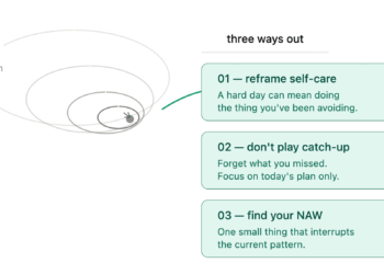 NAWs: the artwork of getting again on observe