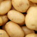 Potatoes and Diabetes: It’s Difficult
