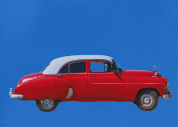 Methods to Practice Your Mind to Be Extra Affected person