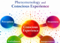 Phenomenology and Aware Expertise
