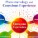 Phenomenology and Aware Expertise