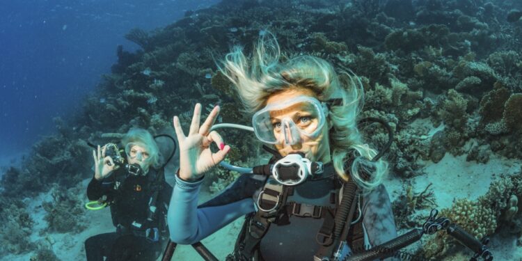 21 Underneath the Sea Coloring Pages for Children to Discover the Ocean