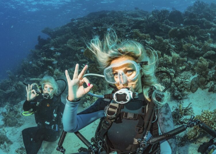 21 Underneath the Sea Coloring Pages for Children to Discover the Ocean