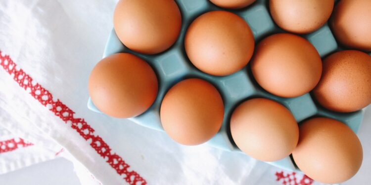 7 Protein Errors You are In all probability Making (And Easy methods to Repair Them)