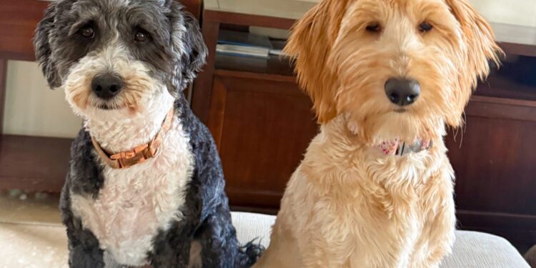 4.17 Friday Faves – The Fitnessista