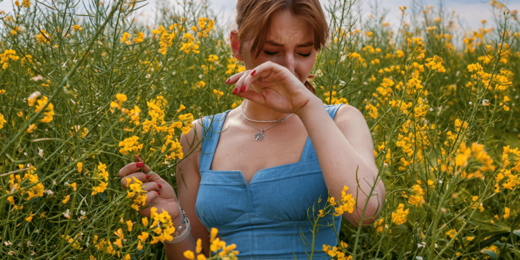 Highly effective Pure Cures for Seasonal Allergic reactions