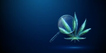 Medical cannabinoids as a therapy for psychological well being