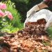 Spring Backyard Guidelines For An Simpler Backyard Season