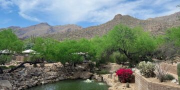 4.3 Friday Faves – The Fitnessista