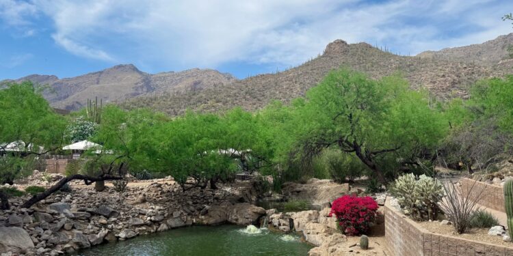 4.3 Friday Faves – The Fitnessista