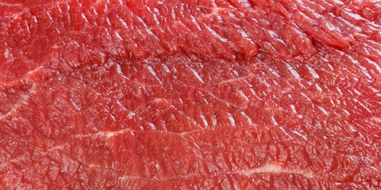 The Hyperlink Between Breast Most cancers and a Virus in Meat and Dairy