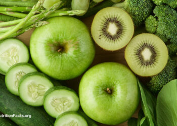 How Prebiotic Meals Preserve Your Microbiome Wholesome