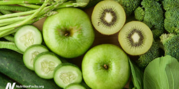 How Prebiotic Meals Preserve Your Microbiome Wholesome