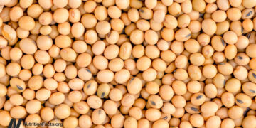 Does Much less Protein Enhance FGF21 for Longevity?