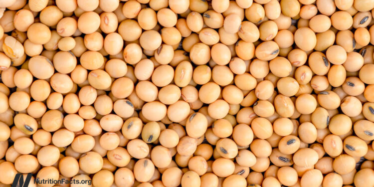 Does Much less Protein Enhance FGF21 for Longevity?