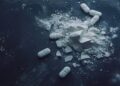Are Antidepressants Harmful? The Fact About Violence, Overuse, and Worry