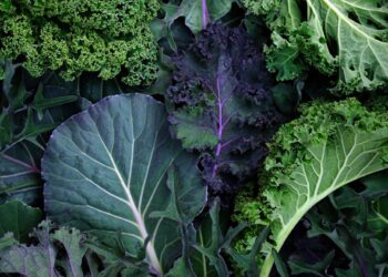 Can Magnesium Assist You Lose Weight?