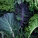 Can Magnesium Assist You Lose Weight?