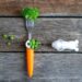 What To Do Earlier than Age 2 To Scale back Choosy Consuming (Backed By Analysis)