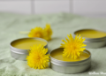 Learn how to Make Dandelion Salve (For Sore Muscle mass and Wholesome Pores and skin)